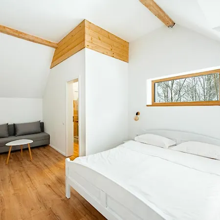Scrind 11 - Madleine Chalet Cluj-Napoca