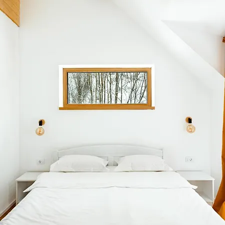 Scrind 11 - Madleine 克卢日-纳波卡