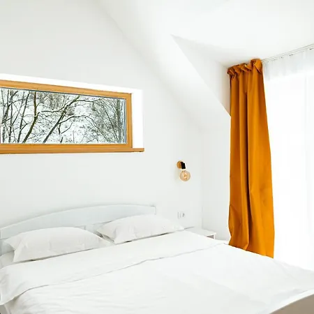 Scrind 11 - Madleine Kluż-Napoka