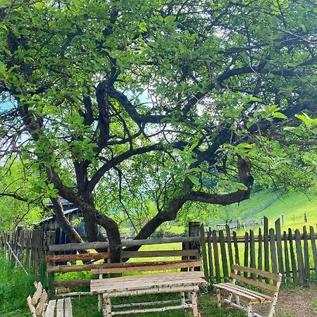 Domek alpejski Scrind 11 - Madleine