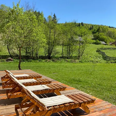 Scrind 11 - Madleine * Kluż-Napoka