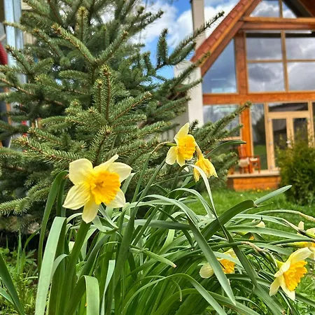 Scrind 11 - Madleine Chalet *