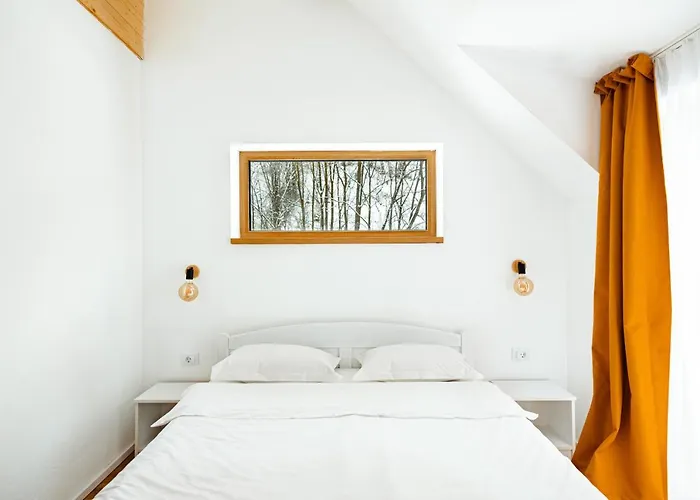 Scrind 11 - Madleine Cluj-Napoca