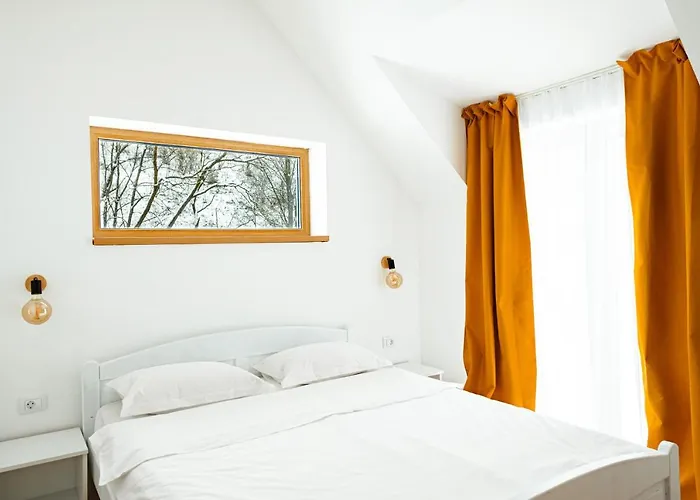 Scrind 11 - Madleine Cluj-Napoca