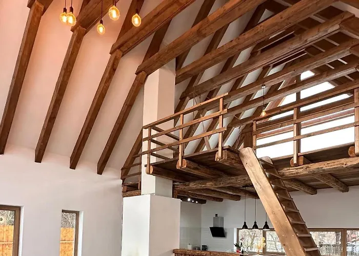 Scrind 11 - Madleine Kluż-Napoka