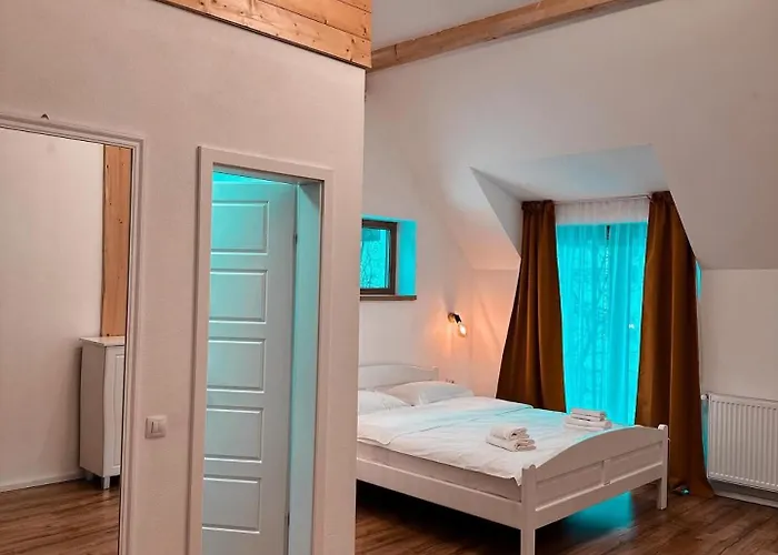 Scrind 11 - Madleine * Kluż-Napoka