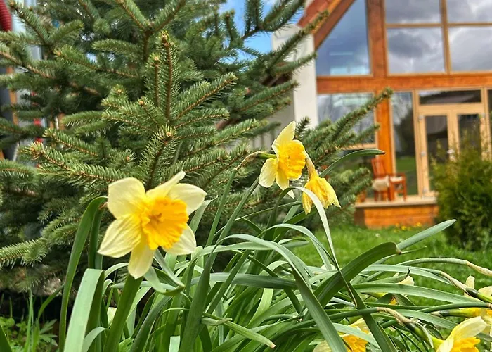 Scrind 11 - Madleine Chalet *